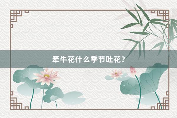 牵牛花什么季节吐花？