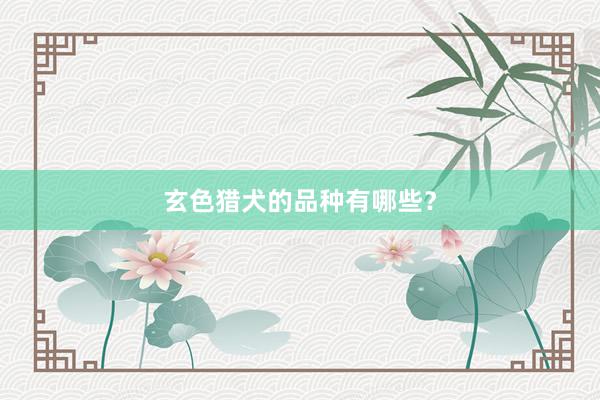玄色猎犬的品种有哪些？